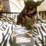 Pepper the Chihuahua, and our Back to the Future DVD collection
