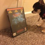 Pepper the Chihuahua and the Fright Night DVD