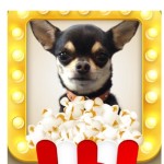 One Popcorn rating