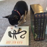 chihuahua and book