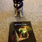 Chihuahua and poster for Krampus