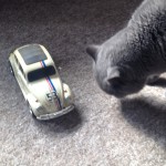 Our cat and our remote controlled Herbie
