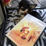 Pepper the Chihuahua and Pay it Forward DVD