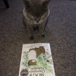 Hooch the cat reading Mog the Cat book