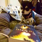 Chihuahua and 5th wave book