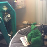 Chihuahua and Nightmare Before Christmas merchandise