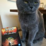 British shorthair cat and Pet Sematary