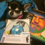 Chihuahua and Steve Jobs biopics