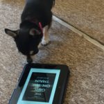 chihuahua with Kindle