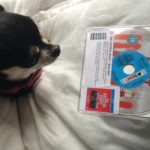Chihuahua and Hateful Eight Bluray