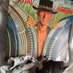 Chihuahua and Vinyl record