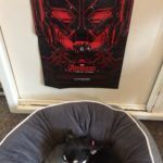 Chihuahua and Avengers poster