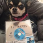 Chihuahua and the 13 Hours Bluray