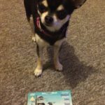 Chihuahua with Time Bandits on DVD
