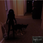 Chihuahua and ghost from Lights out