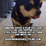 Pepper the Chihuahua