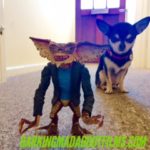 Chihuahua and Gremlin figure