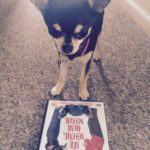 Chihuahua with See No Evil, Hear No Evil on DVD