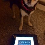 Chihuahua with Miss Peregrine's School for Peculiar Children book