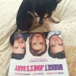 Chihuahua with poster for Bridget Jones Baby