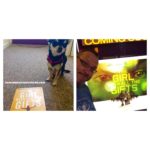 Chihuahua with The Girl With All The Gifts Book and her Owner with the film poster