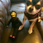 Chihuahua and puppet from the Saw films