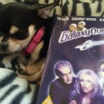 Chihuahua with Galaxy Quest DVD