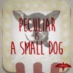 Review for Miss Peregrine's home for peculiar Children