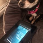 Chihuahua and We Have Always Lived in the Castle book on Kindle