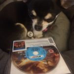 Chihuahua with Gods of Egypt BluRay