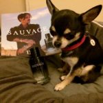 Chihauhua with Sauvage aftershave