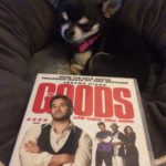 Chihuahua with 'The Goods' on DVD
