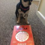 Chihuahua with The Circle book
