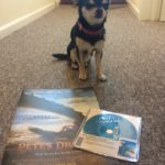 Chihuahua with rental copy of Pete's Dragon