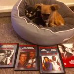 Chihuahuas with the 4 lethal weapon films on DVD