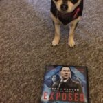 Chihuahua with Exposed on DVD