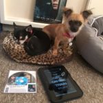 Chihuahuas with Kindle and Girl on the train Bluray