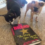 Chihuahuas with Jo Brand book