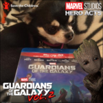 Chihuahua with Guardians of the Galaxy bluray