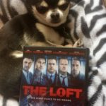 Chihuahua with The Loft on DVD