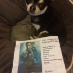Chihuahua with our Pirates 5 ticket