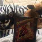 Chihuahuas with Last Action Hero on DVD