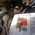 Chihuahua with cinemas ticket for American Made