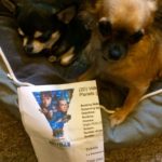 The BMAF Chihuahuas with our Valerian ticket