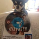 Chihuahua with Mindhorn DVD