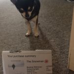 Chihuahua with The Snowman cinema ticket