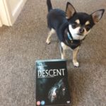Chihuahua with the Descent on DVD