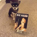 Chihuahua with Die Hard on DVD