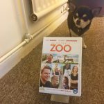 Chihuahua with DVD of We Bought A Zoo