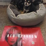 Chihuahua with Red Sparrow poster
